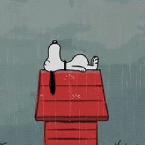 Meet your Posher, Ziyue